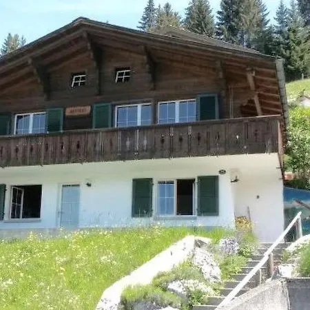 Am Meieli Apartment Lenk im Simmental